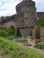 20250816_Andernach_Doris_03