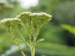 P6100084
