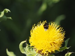 P6120111
