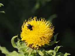 P6120118