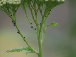 P6120133