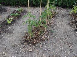 P6250028