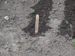 P6250033