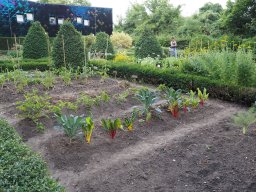 P7020054