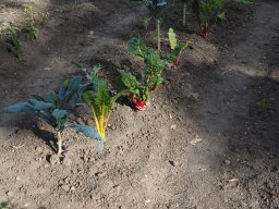 P7230097