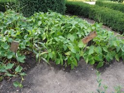 P7230099
